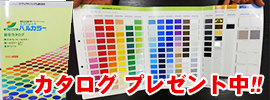 ハルカラーカタログプレゼント中!!