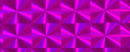0212 raspberry