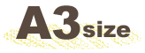 A3