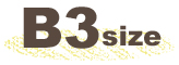 B3