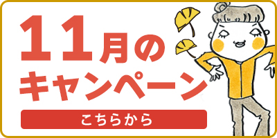 11月のキャンペーン